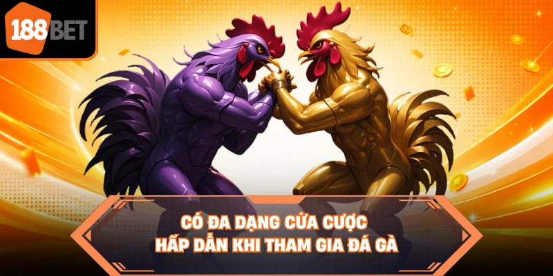 Có đa dạng cửa cược hấp dẫn khi tham gia đá gà